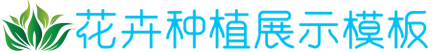 黄金城网页版入口,黄金城正式版下载